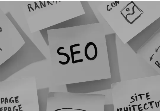 Merkclean Management