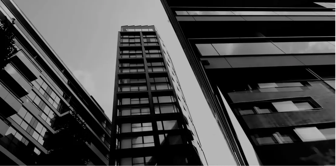 Merkclean Management